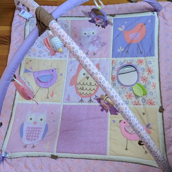 skip hop owl patch activity gym